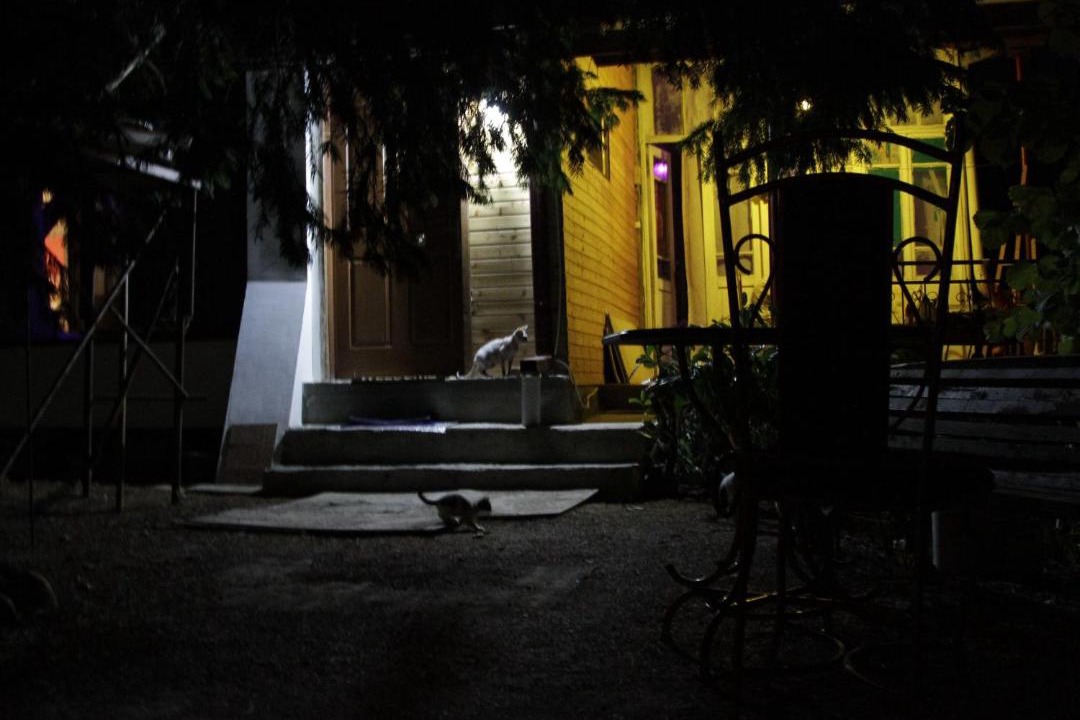 Photo of Others in Sighnaghi