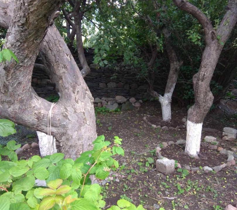 Photo of Others in Stepantsminda