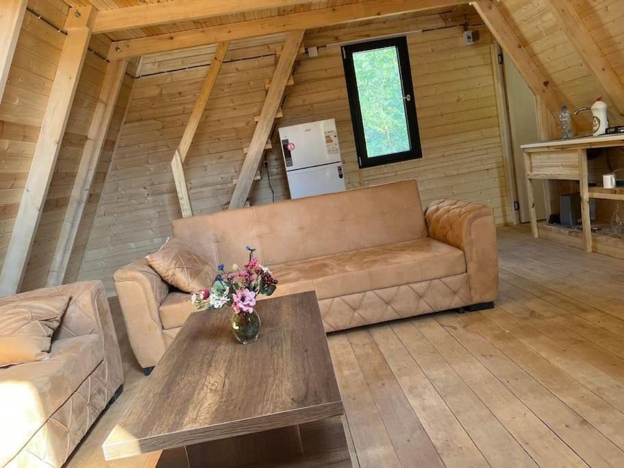 Photo of Livingroom in Ambrolauri