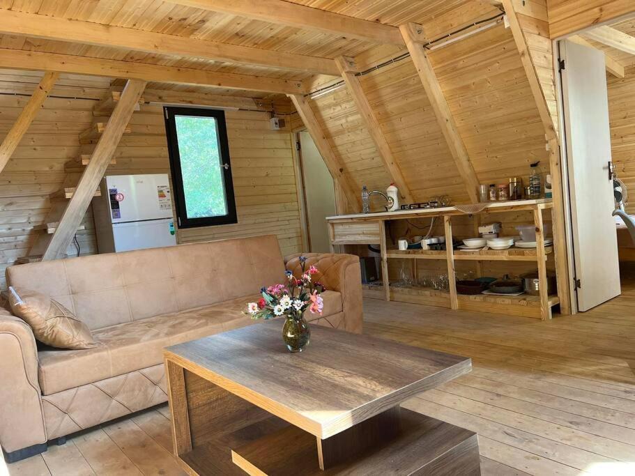Photo of Livingroom in Ambrolauri