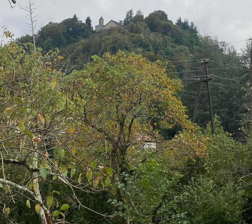 Photo of Outdoor in Khulo