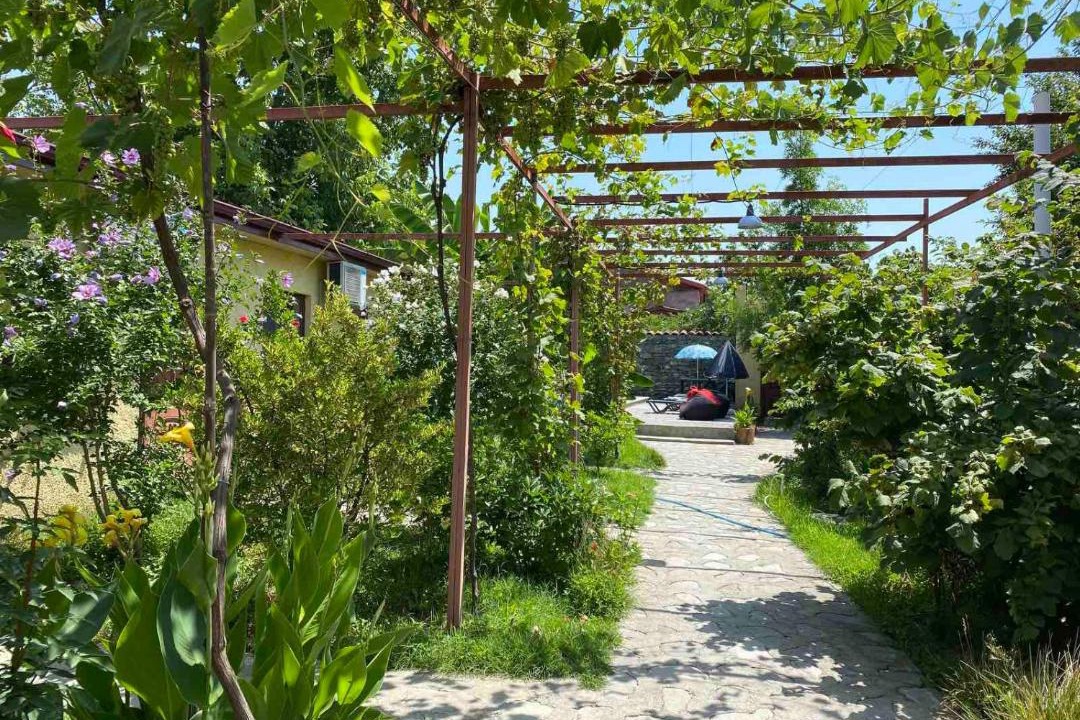 Photo of Others in Eniseli