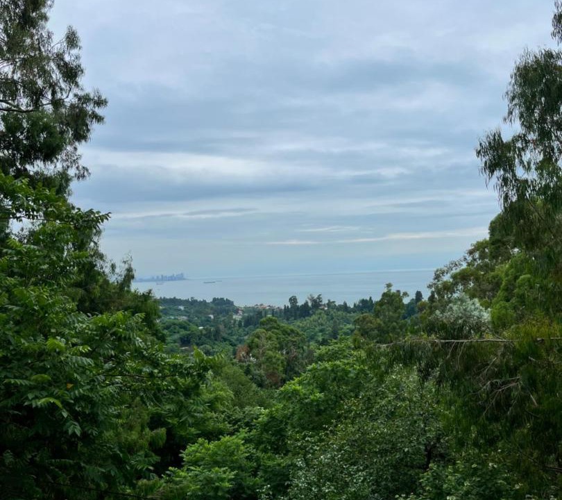 Photo of Outdoor in Kobuleti