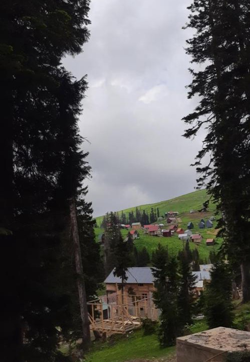 Photo of Others in Bakhmaro