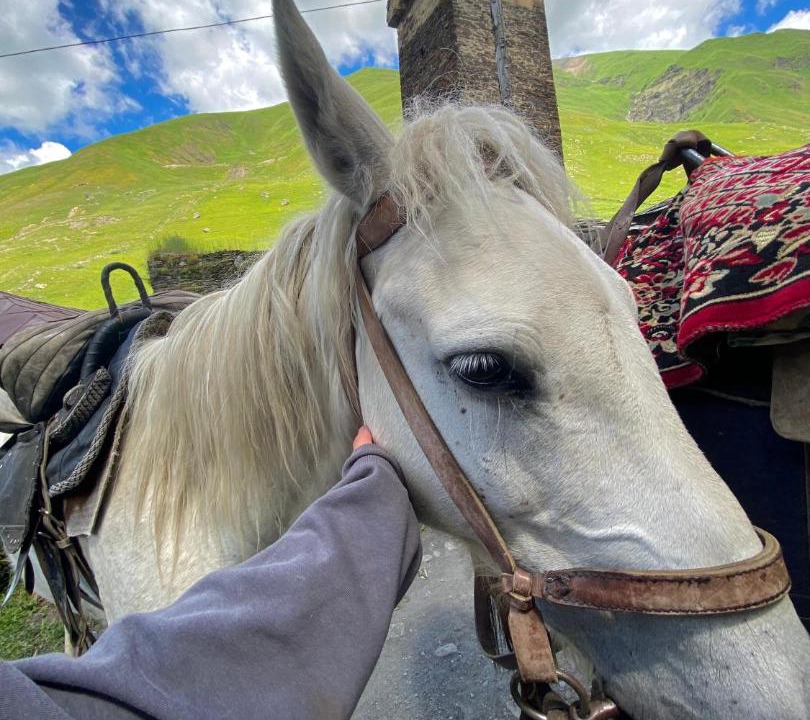 Photo of Others in Ushguli
