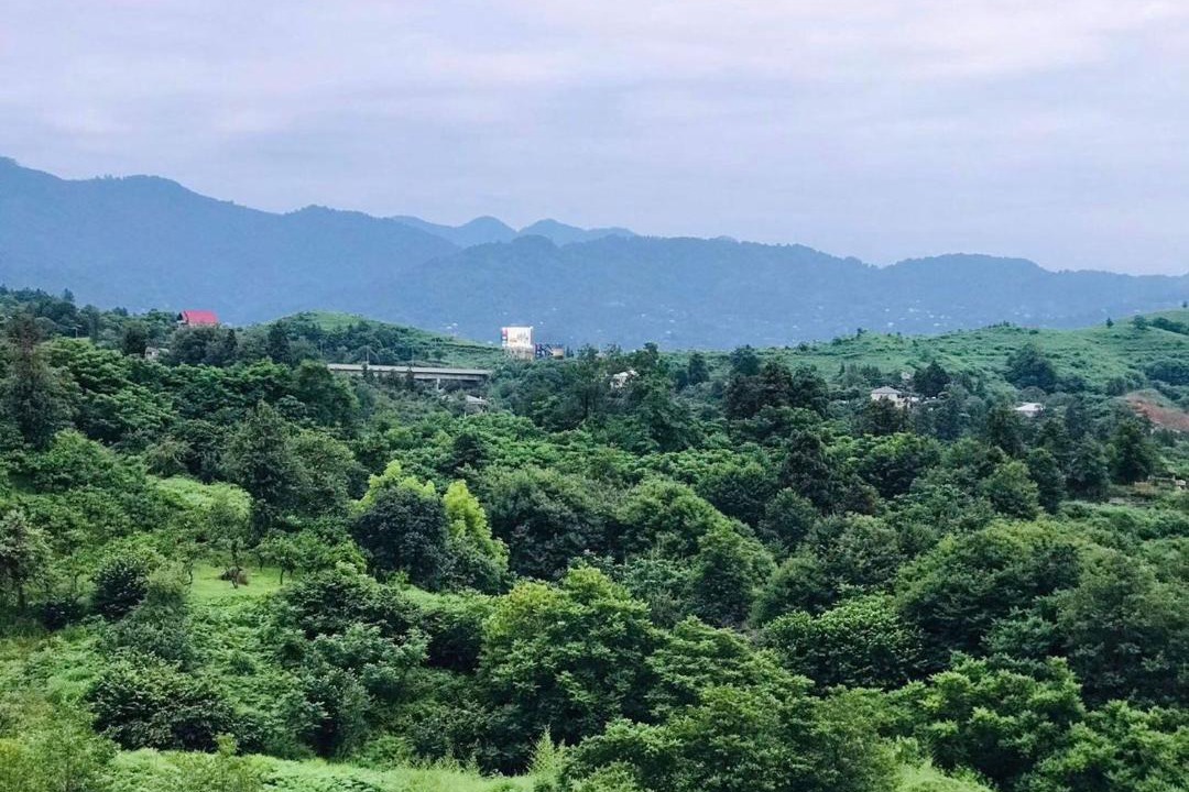Photo of Outdoor in Chakvi