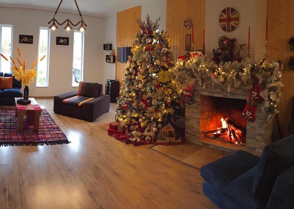 Photo of Livingroom in Tkibuli