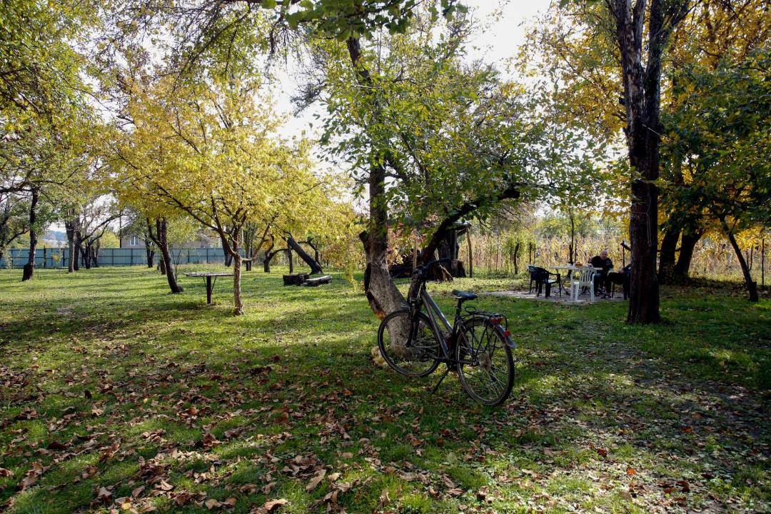 Photo of Others in Vedzebi