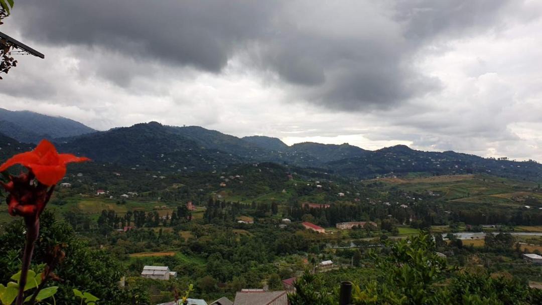 Photo of Outdoor in Gorgadzeebi