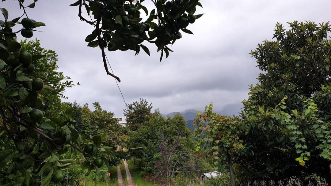 Photo of Outdoor in Gorgadzeebi