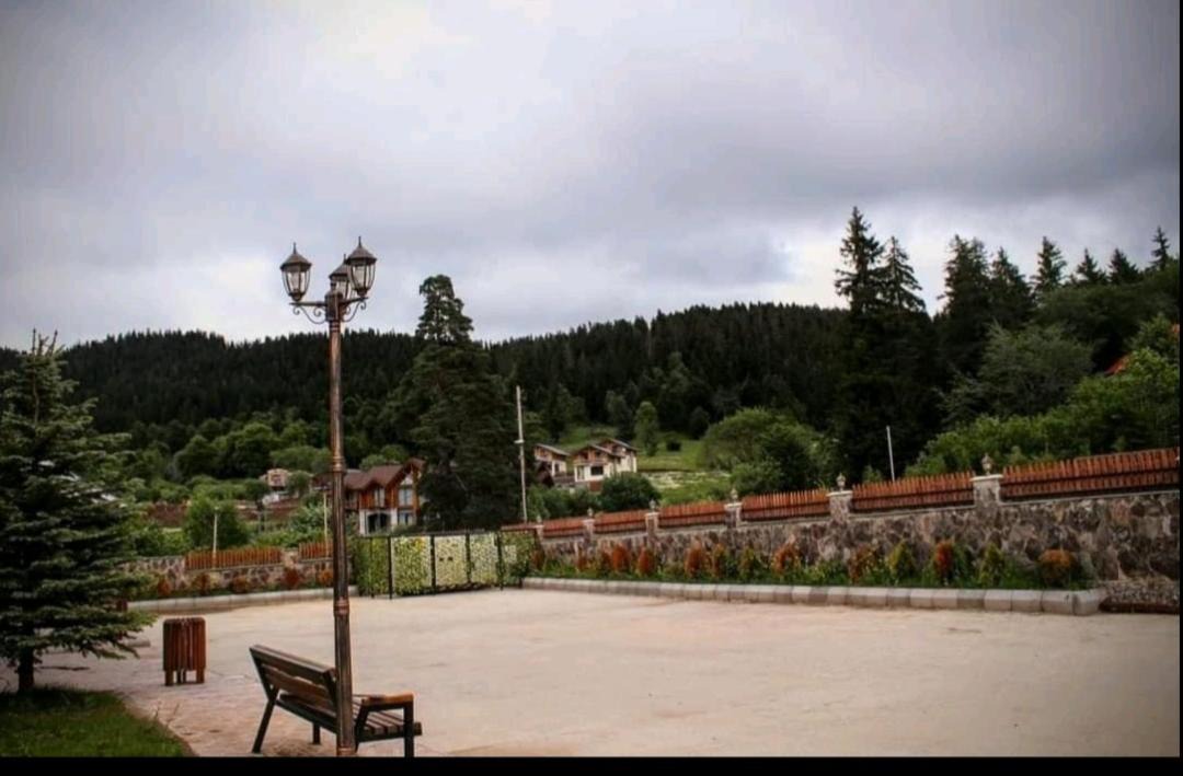 Photo of Others in Bakuriani