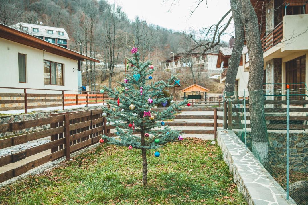 Photo of Buildings in Bakuriani