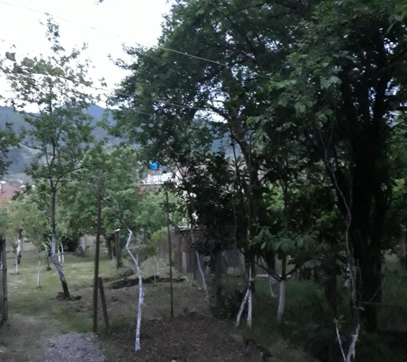 Photo of Others in Sairme
