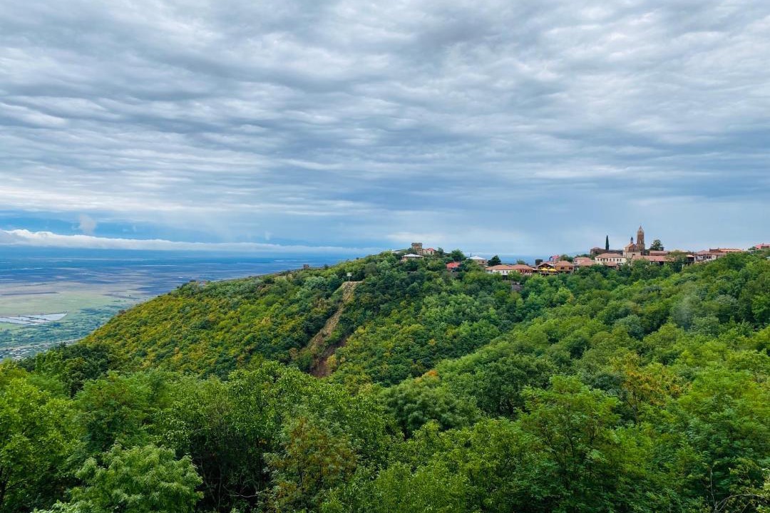 Photo of Others in Sighnaghi