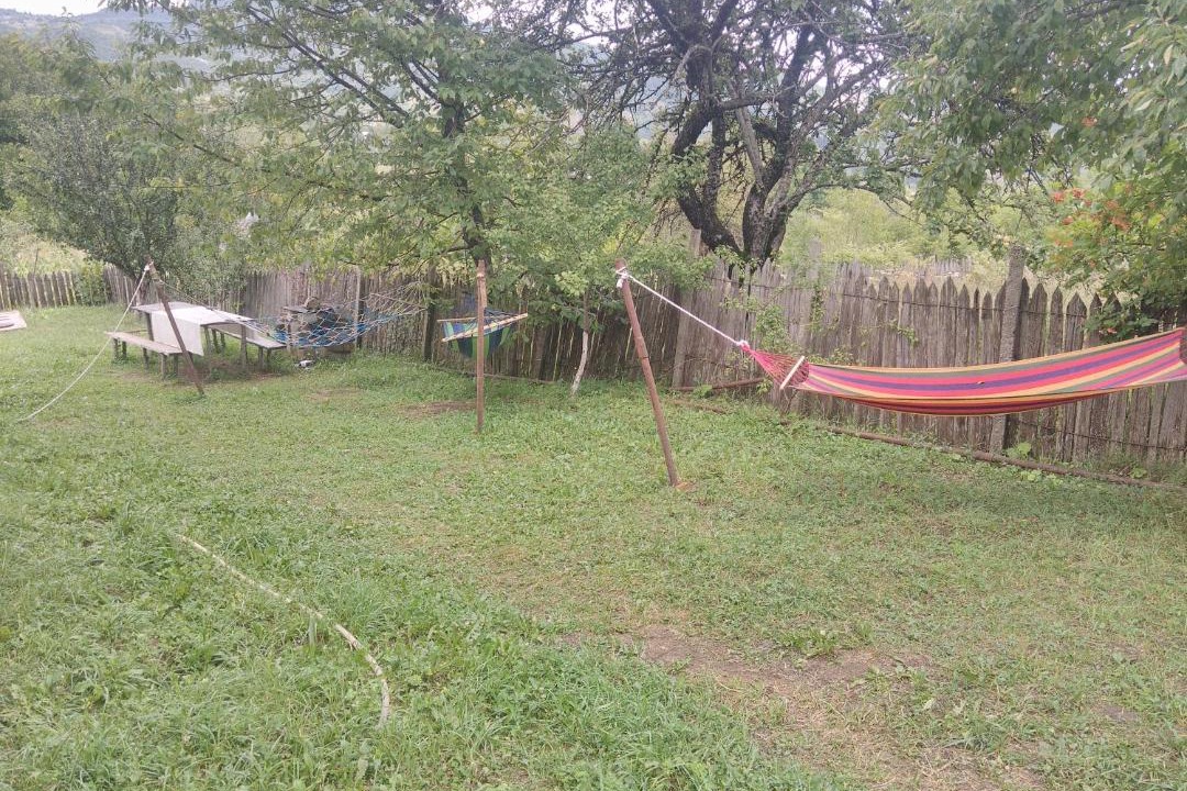 Photo of Outdoor in Ambrolauri