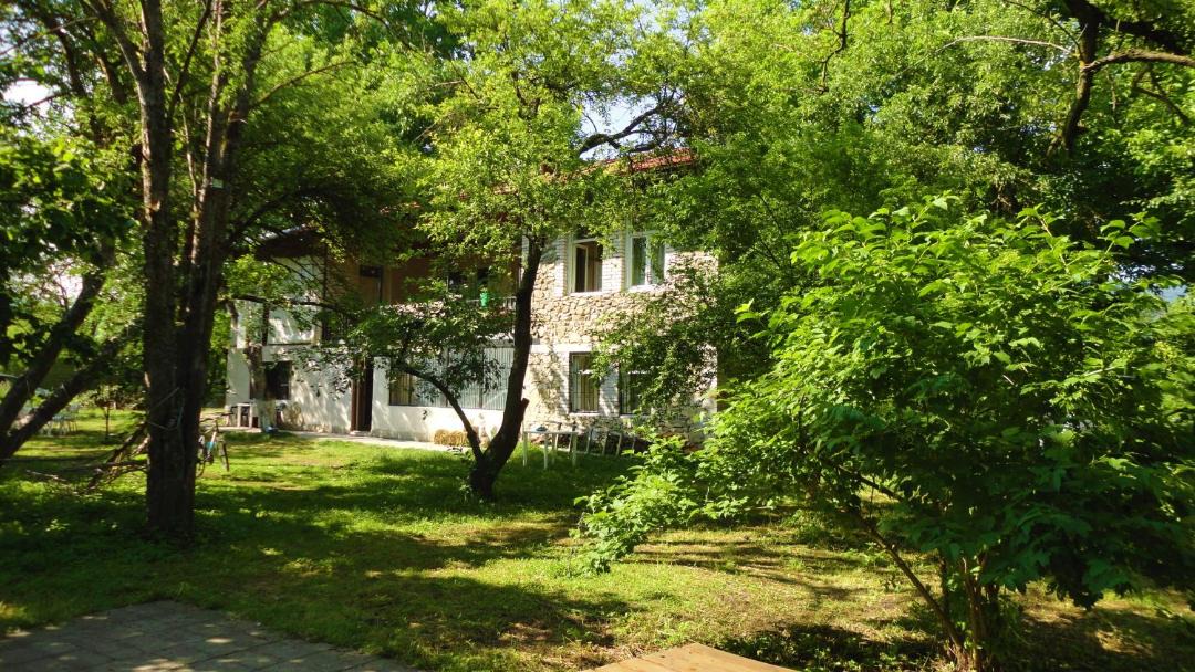 Photo of Others in Vedzebi