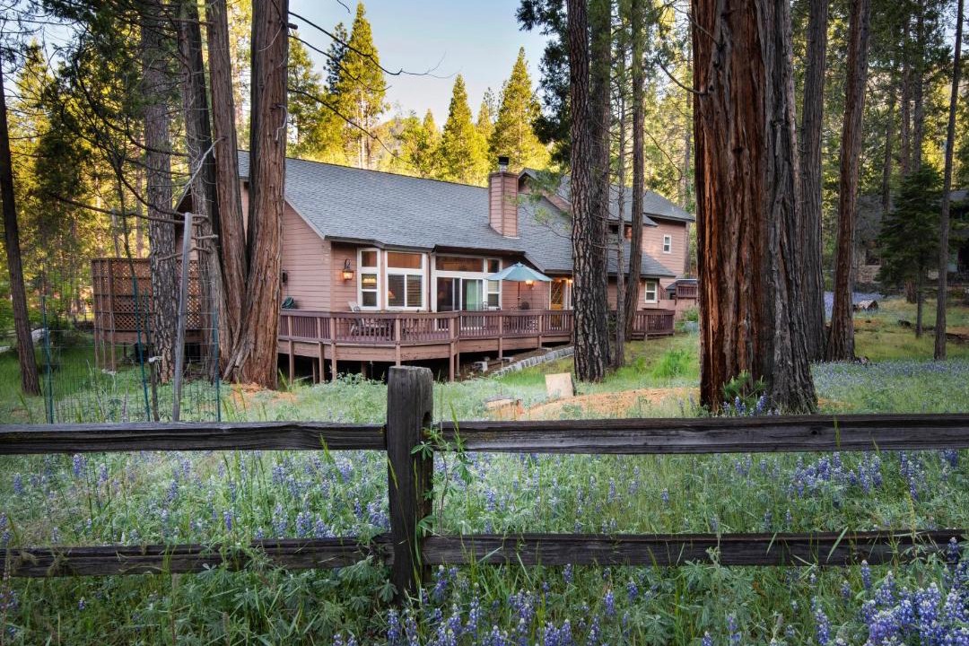 Photo of Others in North Wawona