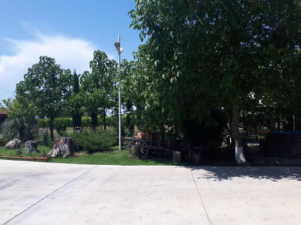 Photo of Outdoor in Kvareli