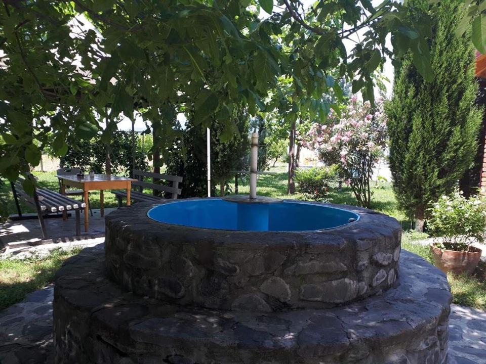 Photo of Outdoor in Kvareli