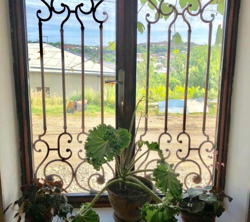 Photo of Others in Sighnaghi