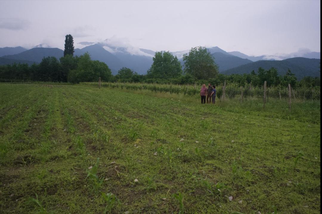 Photo of Others in Ninigori