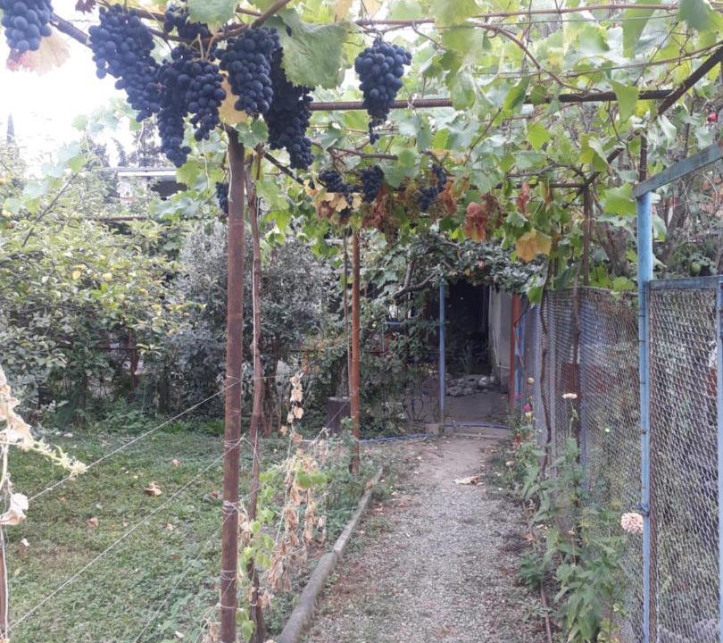 Photo of Others in Kvareli