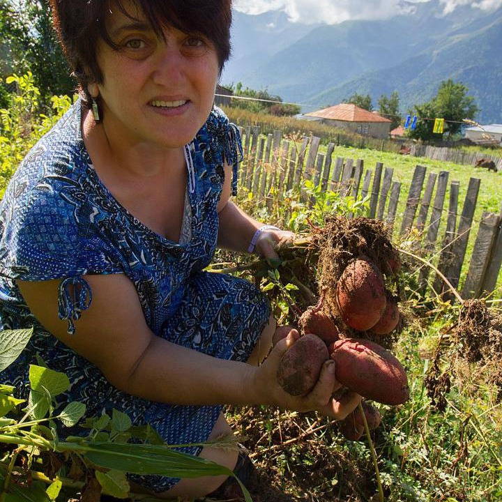 Photo of Others in Mestia