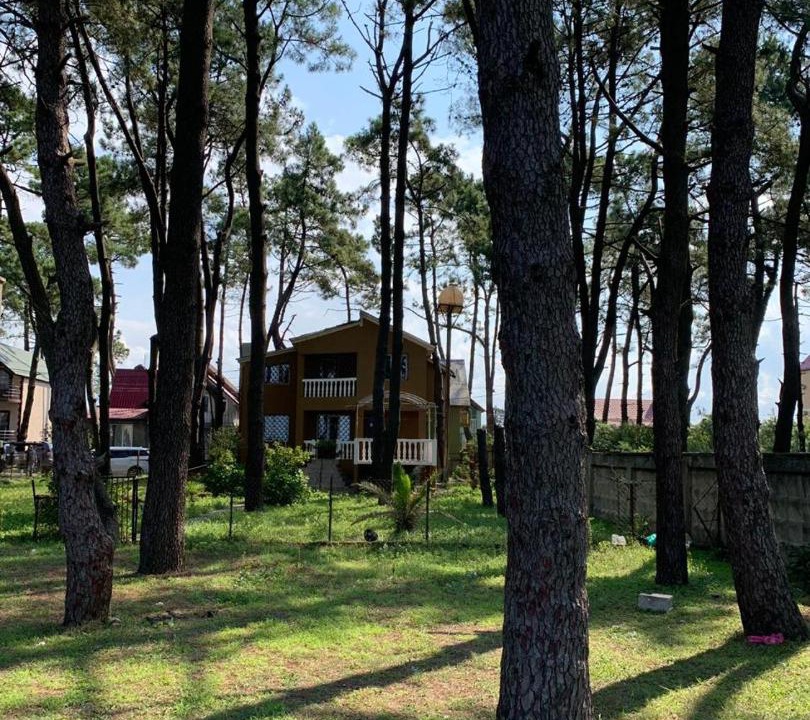 Photo of Outdoor in Grigoleti