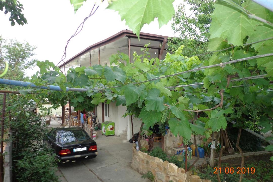 Photo of Others in Udabno