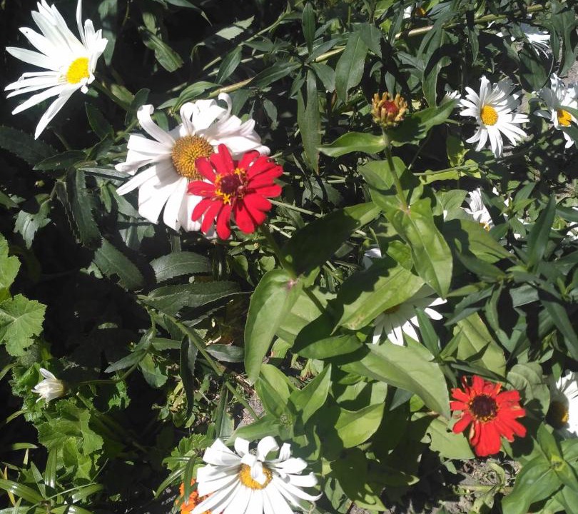 Photo of Outdoor in Stepantsminda