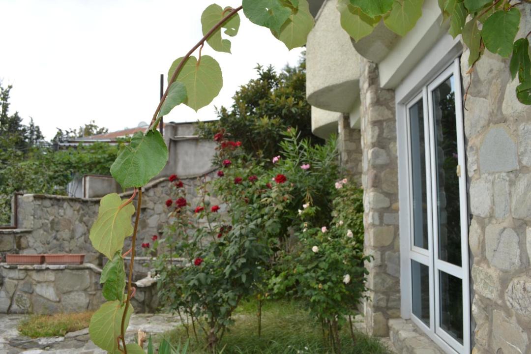 Photo of Others in Telavi