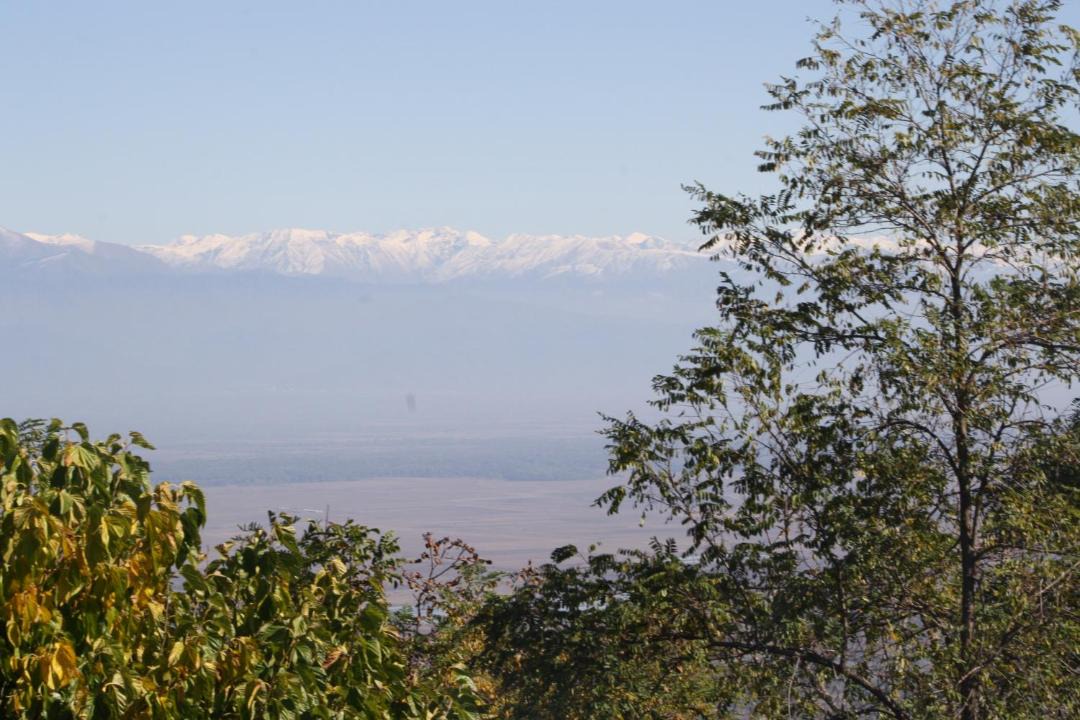 Photo of Others in Sighnaghi