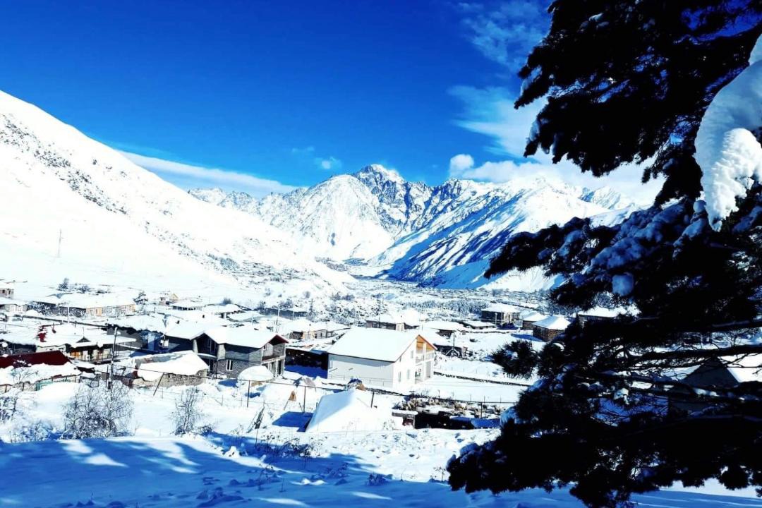 Photo of Others in Kazbegi