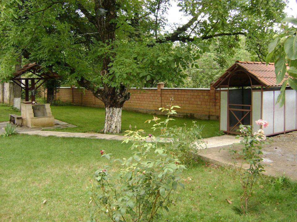 Photo of Buildings in Kojori