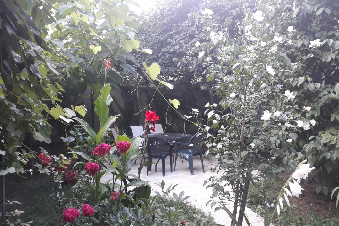 Photo of Others in Telavi