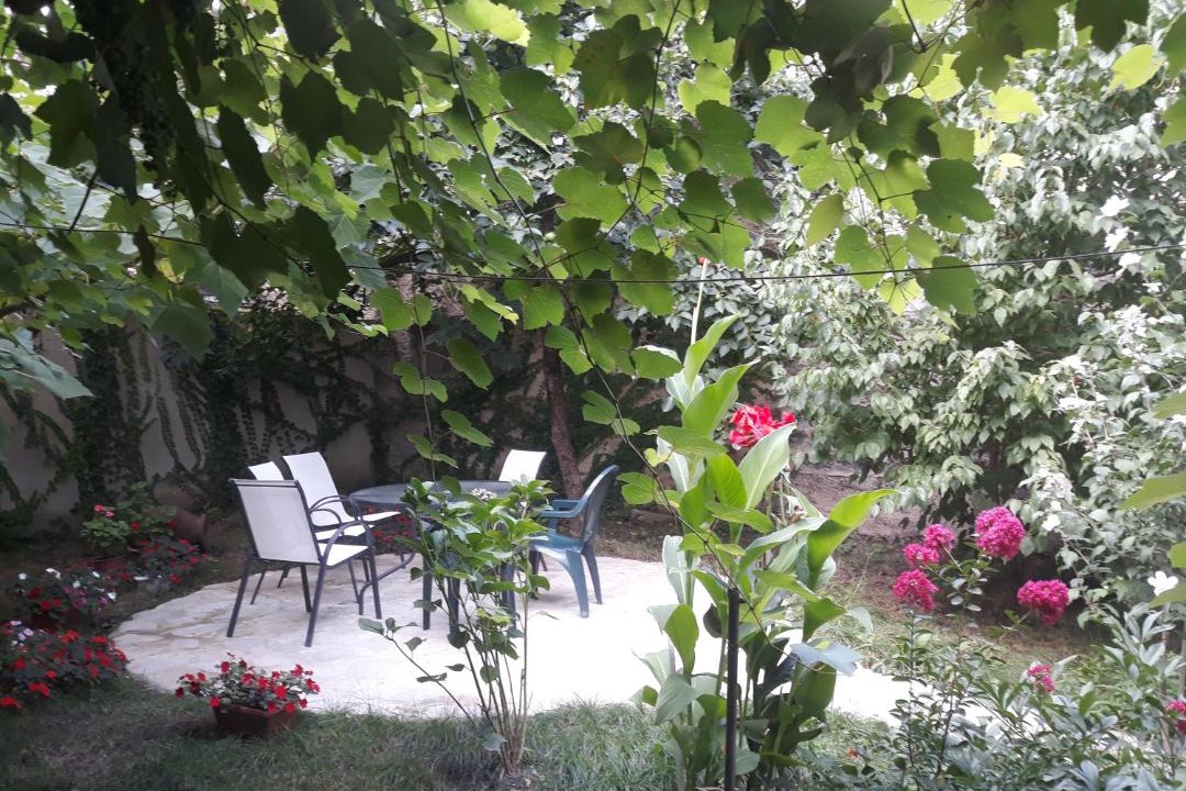Photo of Others in Telavi