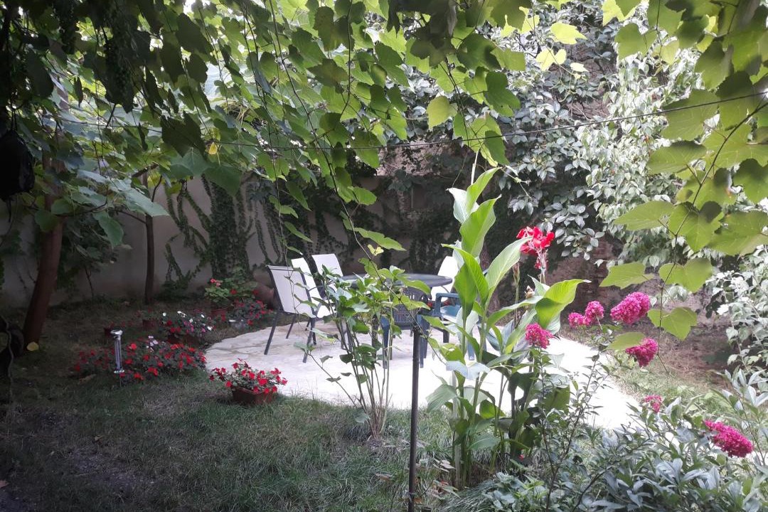 Photo of Others in Telavi