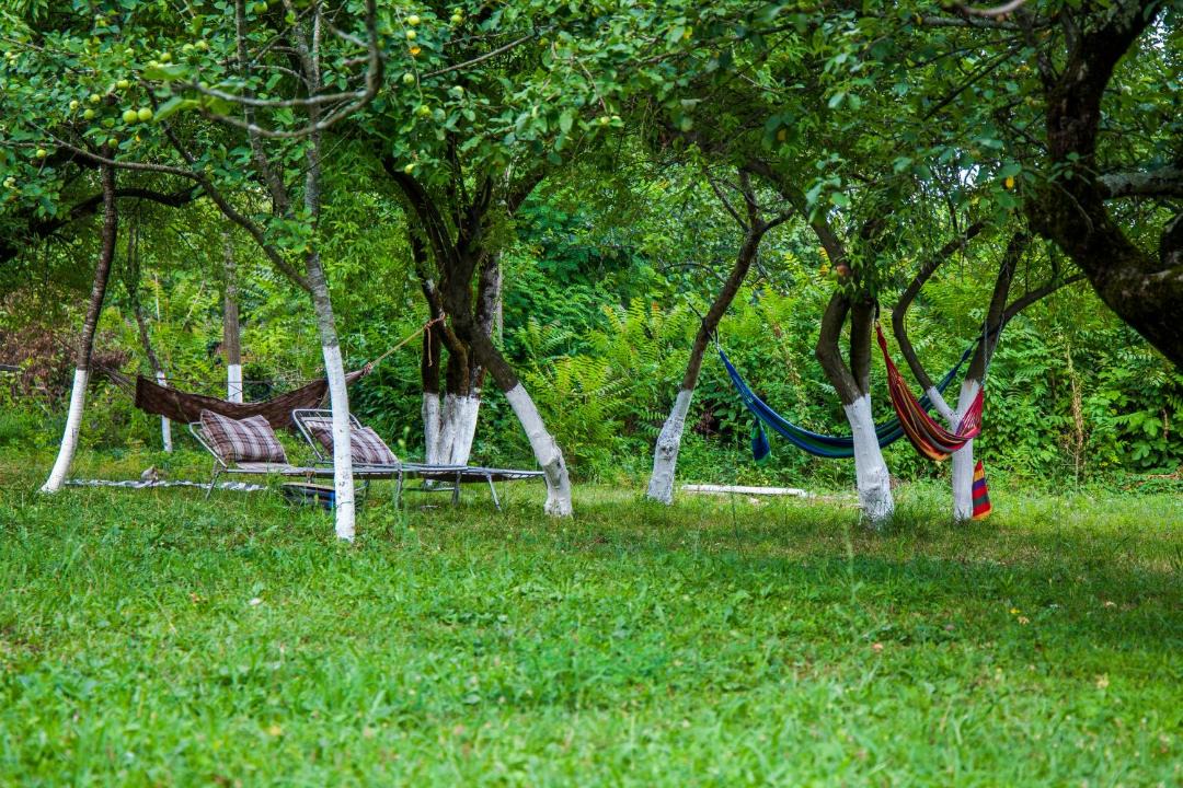 Photo of Others in Salkhino
