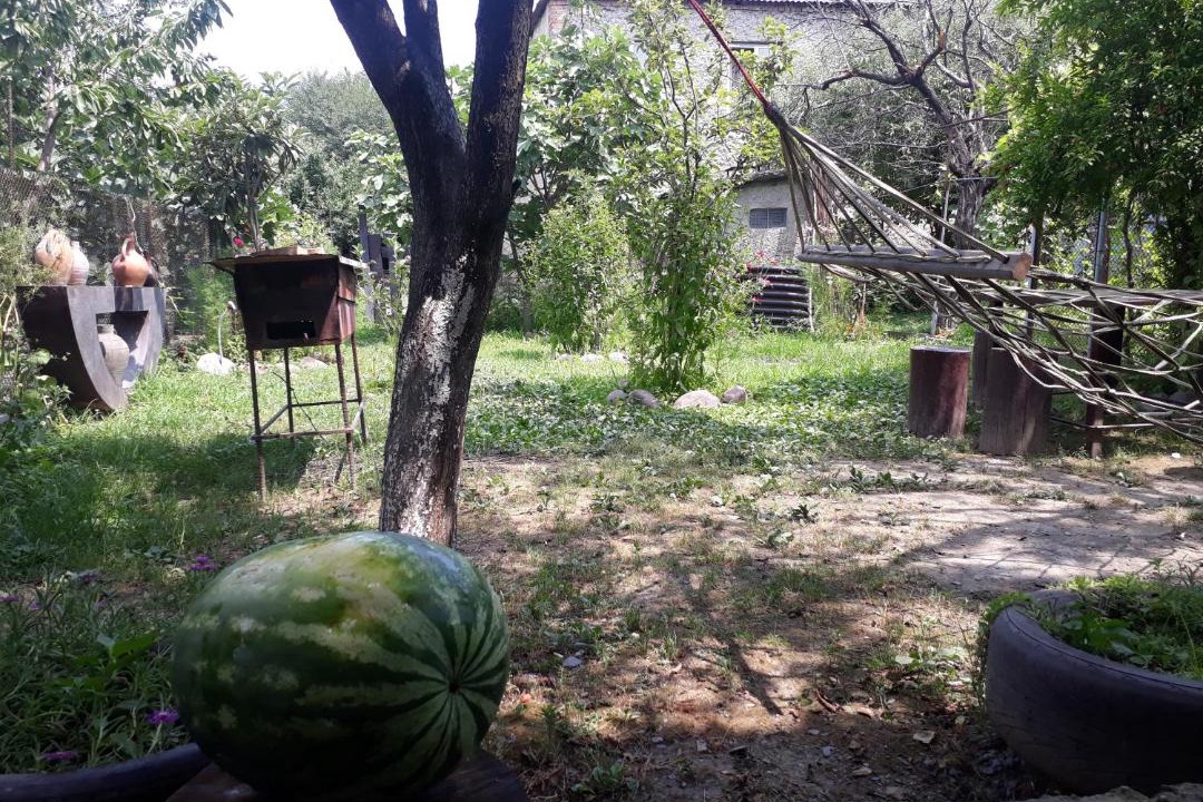 Photo of Others in Kvareli