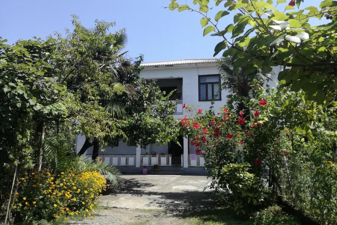 Photo of Buildings in Makhinjauri