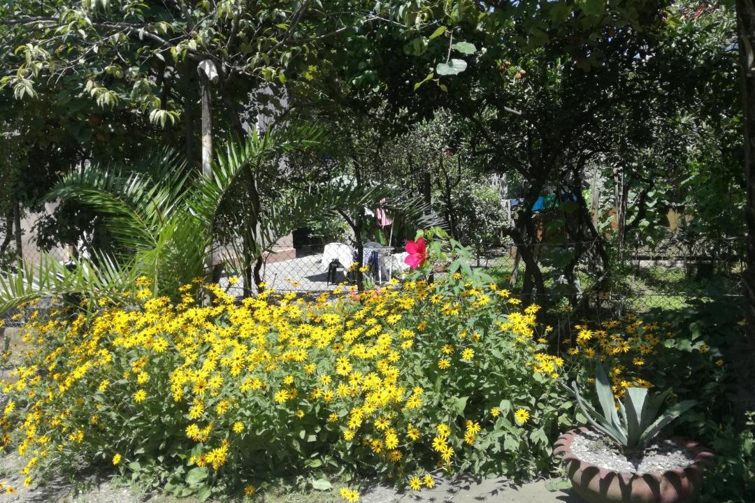 Photo of Outdoor in Makhinjauri