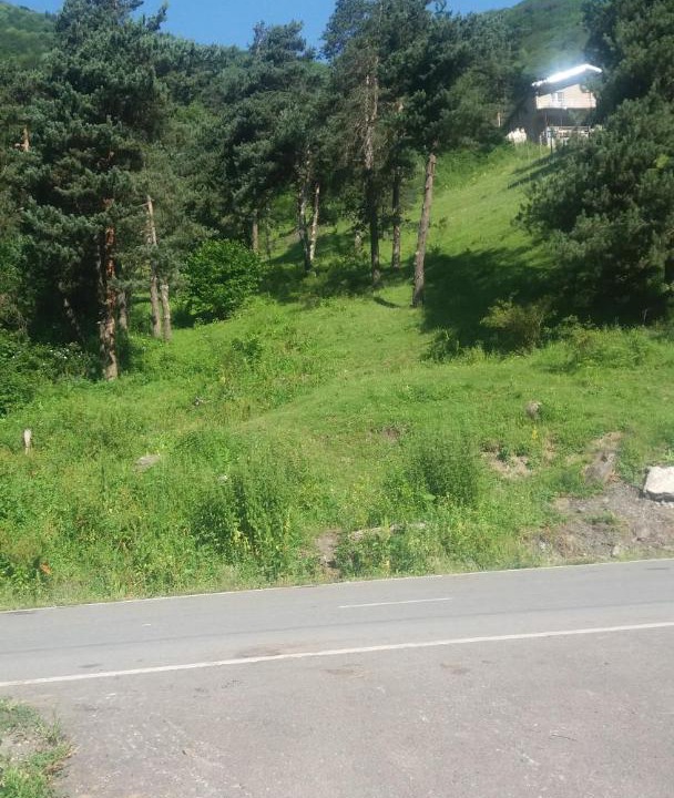 Photo of Others in Roshka