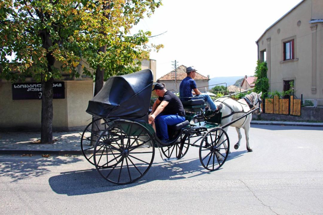 Photo of Others in Mtskheta