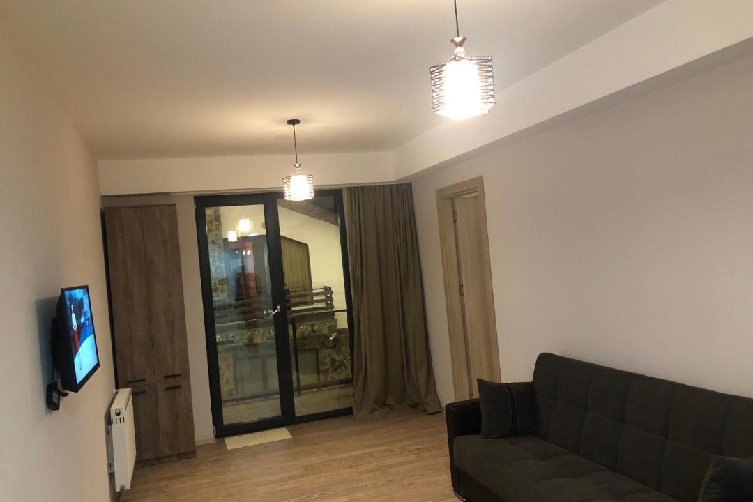 Photo of Livingroom in Bakuriani