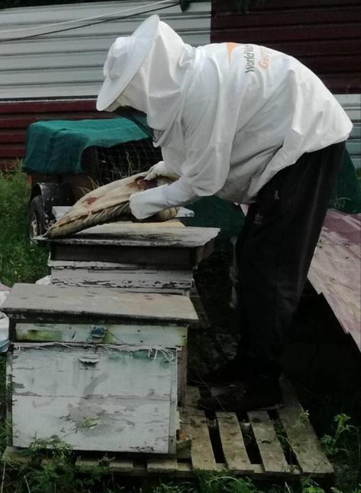 Photo of Others in Telavi