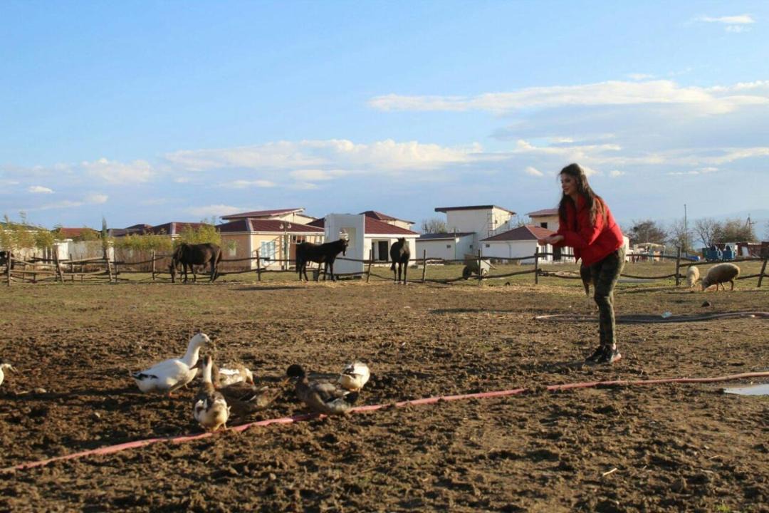 Photo of Others in Telavi