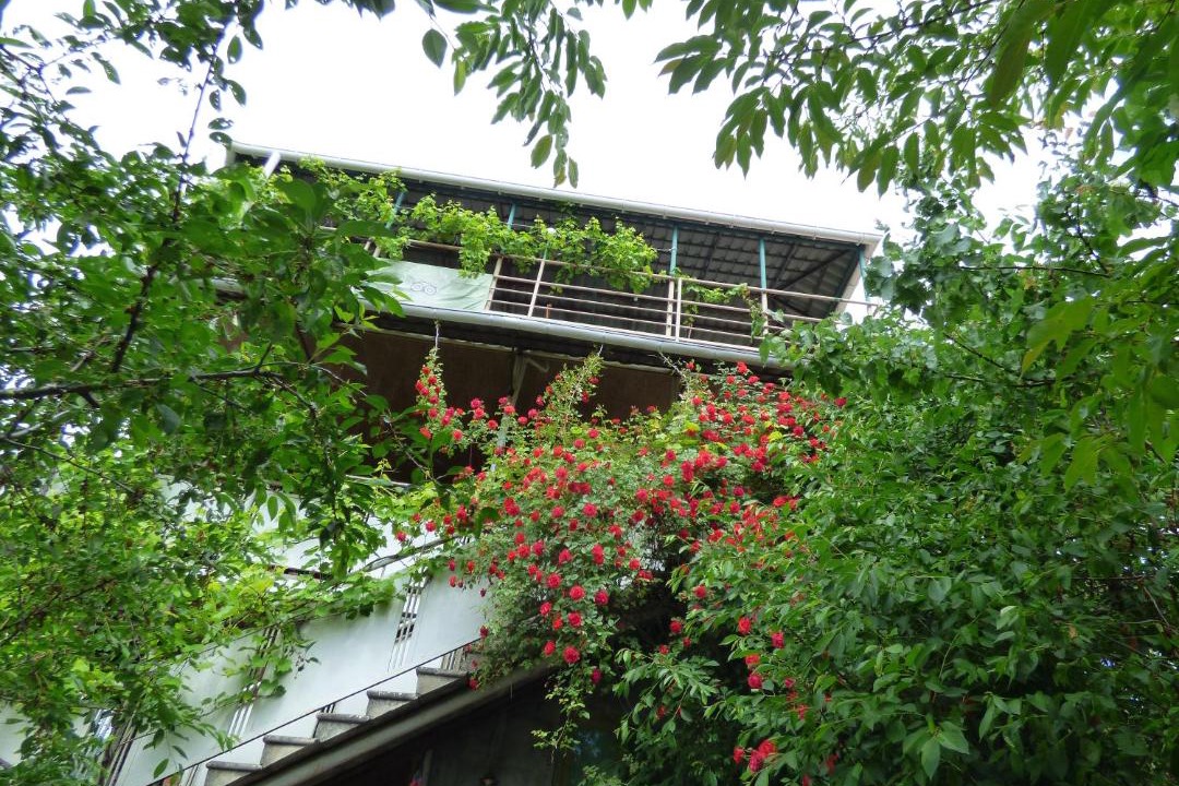 Photo of Others in Sighnaghi