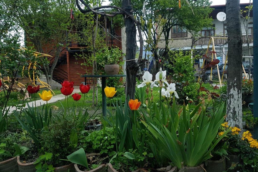 Photo of Others in Kvareli