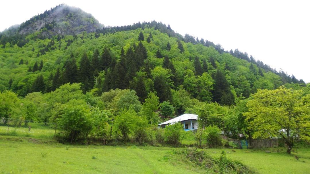 Photo of Others in Khaishi