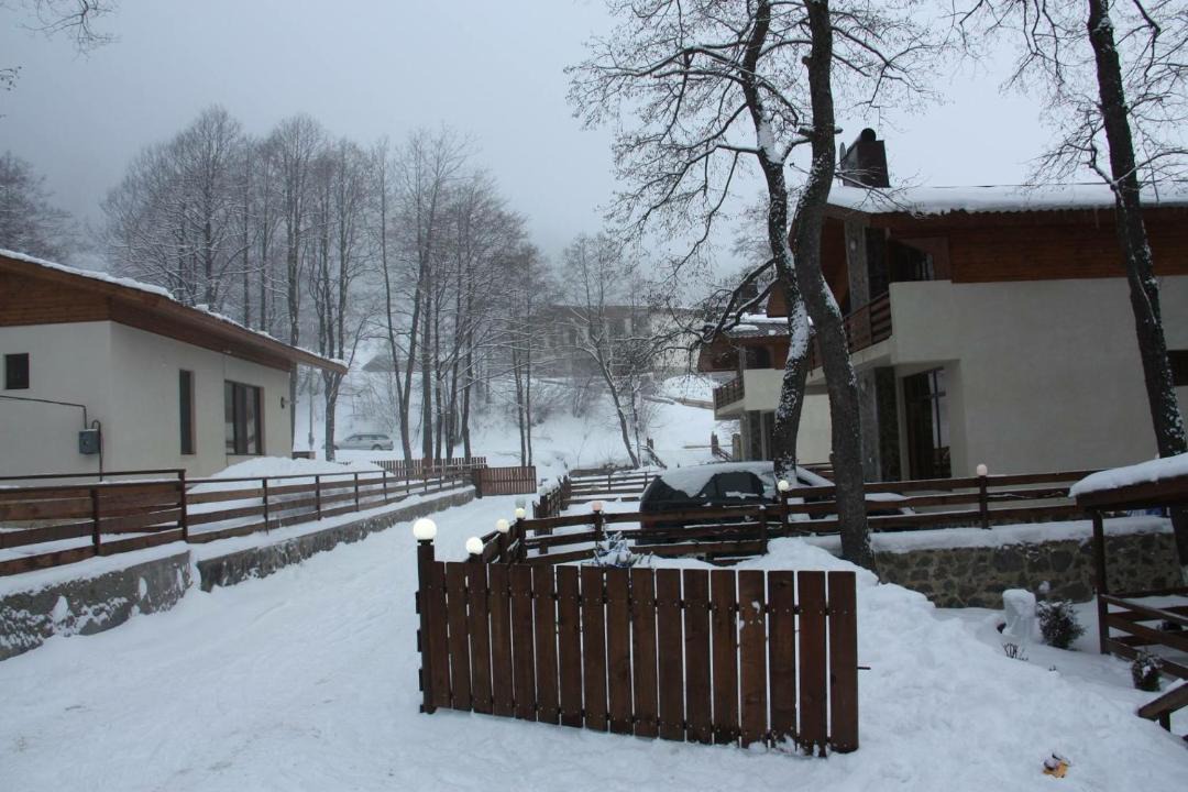 Photo of Buildings in Bakuriani